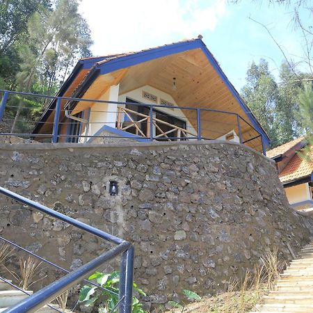 My Hill Eco Lodge ルヘンゲリ エクステリア 写真