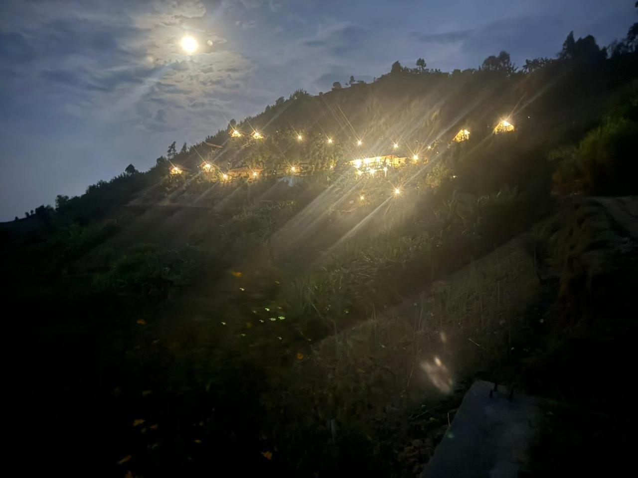 My Hill Eco Lodge ルヘンゲリ エクステリア 写真